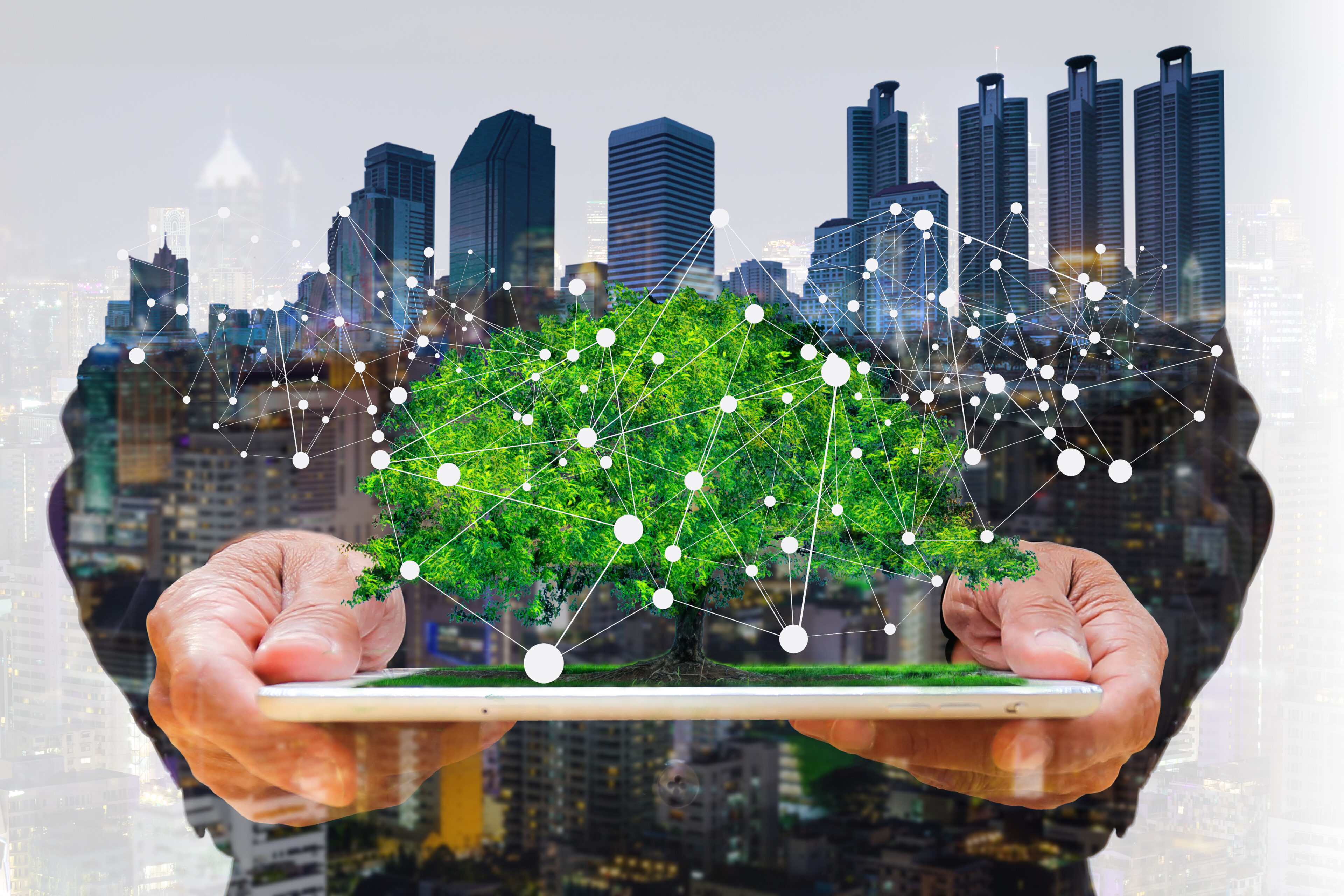 Concept,Of,Smart,Phone,Or,Tablet,Share,Green,Nature,To Concept,Of,Smart,Phone,Or,Tablet,Share,Green,Nature,To